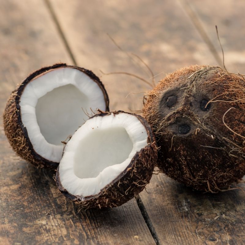 Coconut