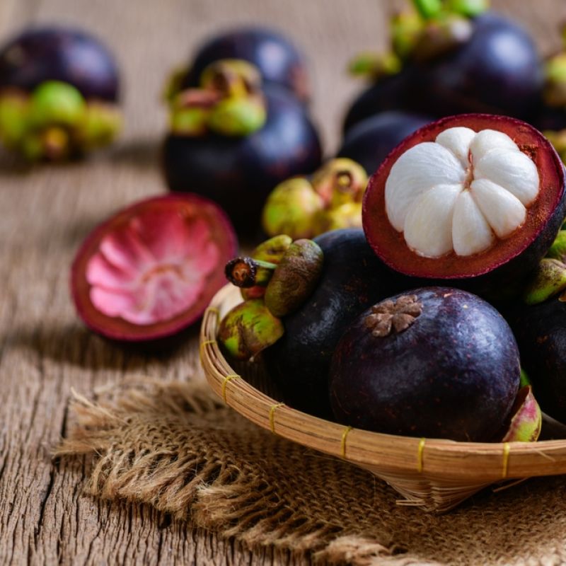 Mangosteen