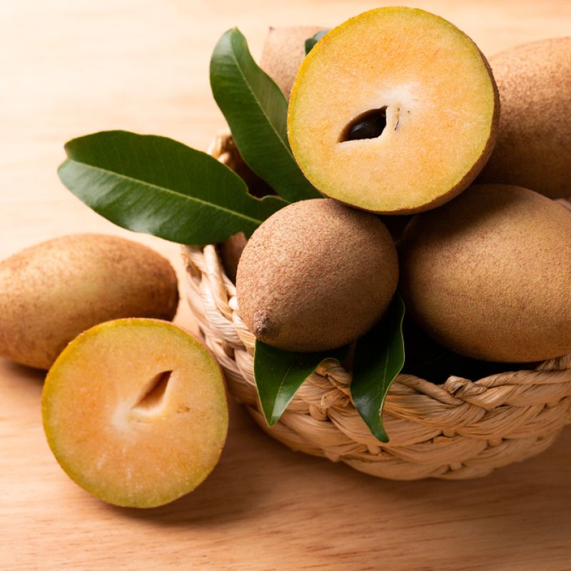 Sapodilla
