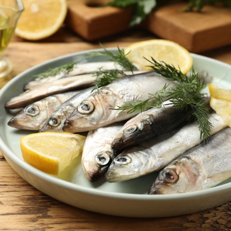 Sardines fish
