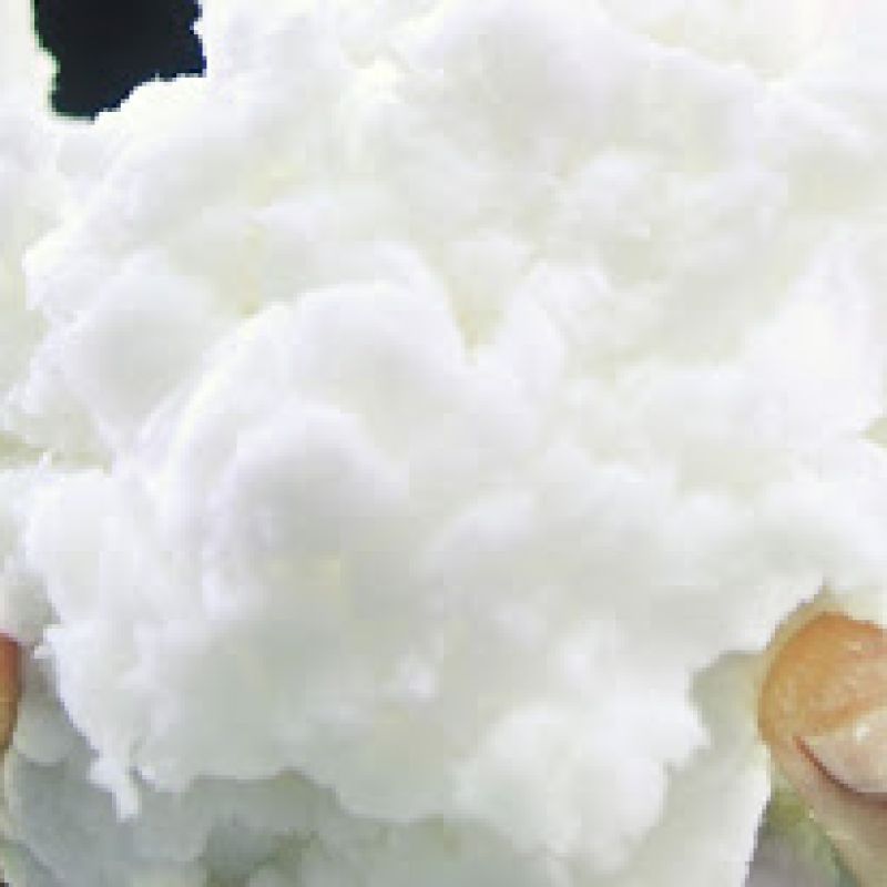 Paper and Pulp Chemicals